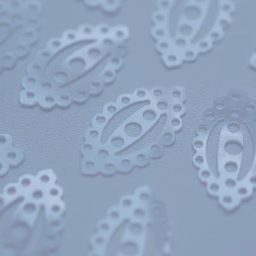 Flat Sequins （ Paillettes Langlonglois Martin ）