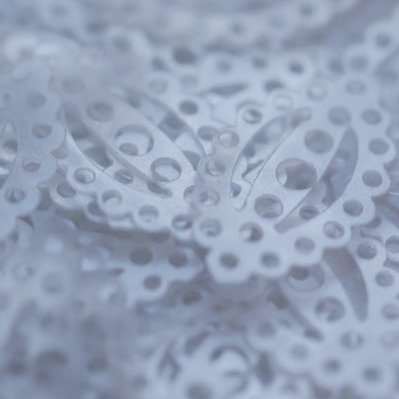 Flat Sequins （ Paillettes Langlonglois Martin ）