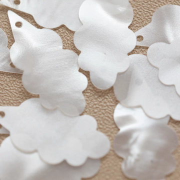 Flat Sequins （ Paillettes Langlonglois Martin ）